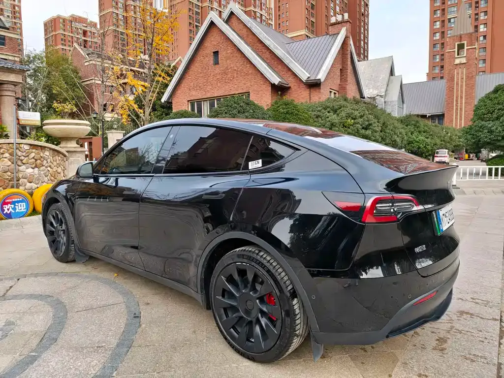 Tesla Model Y — фото 7