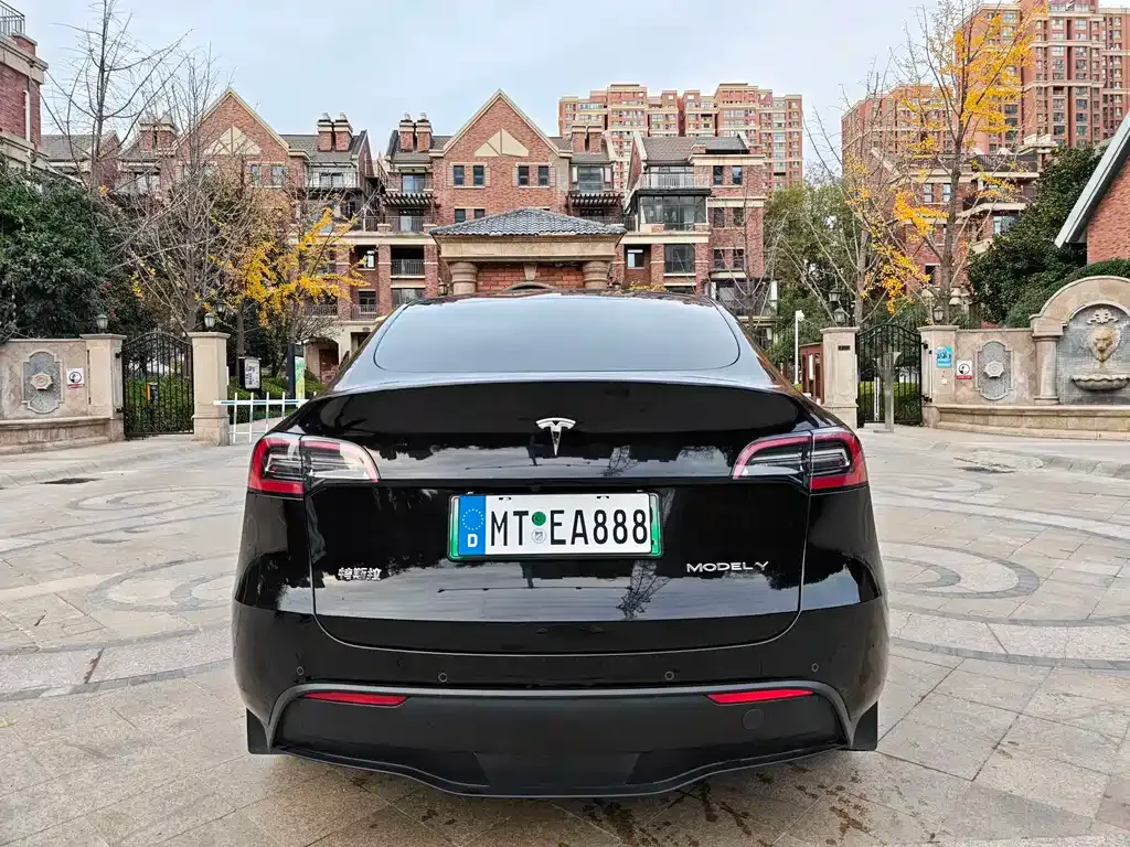 Tesla Model Y — фото 8