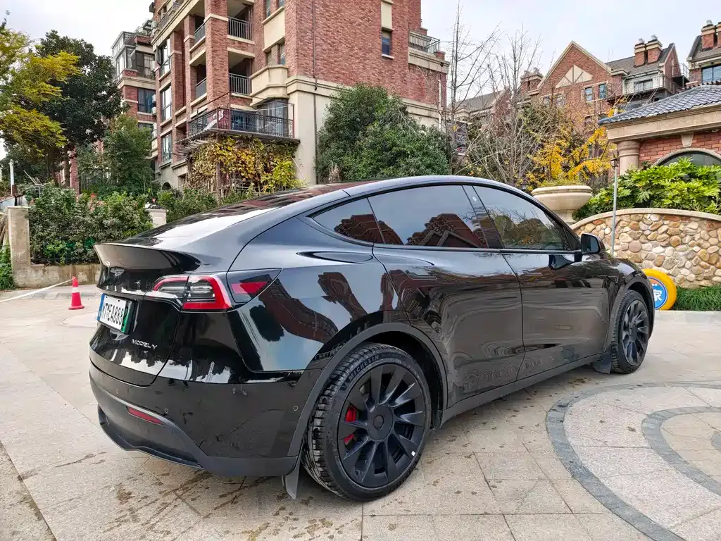 Tesla Model Y — фото 9