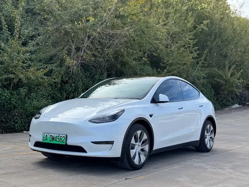 Tesla Model Y 2022 из CN, фото 1
