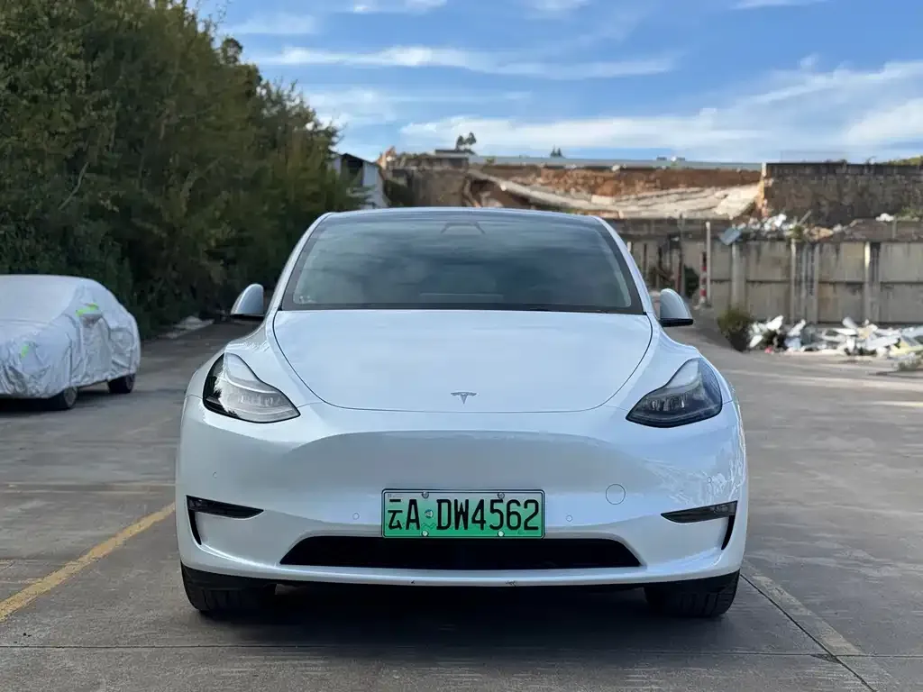 Tesla Model Y 2022 из CN, фото 2