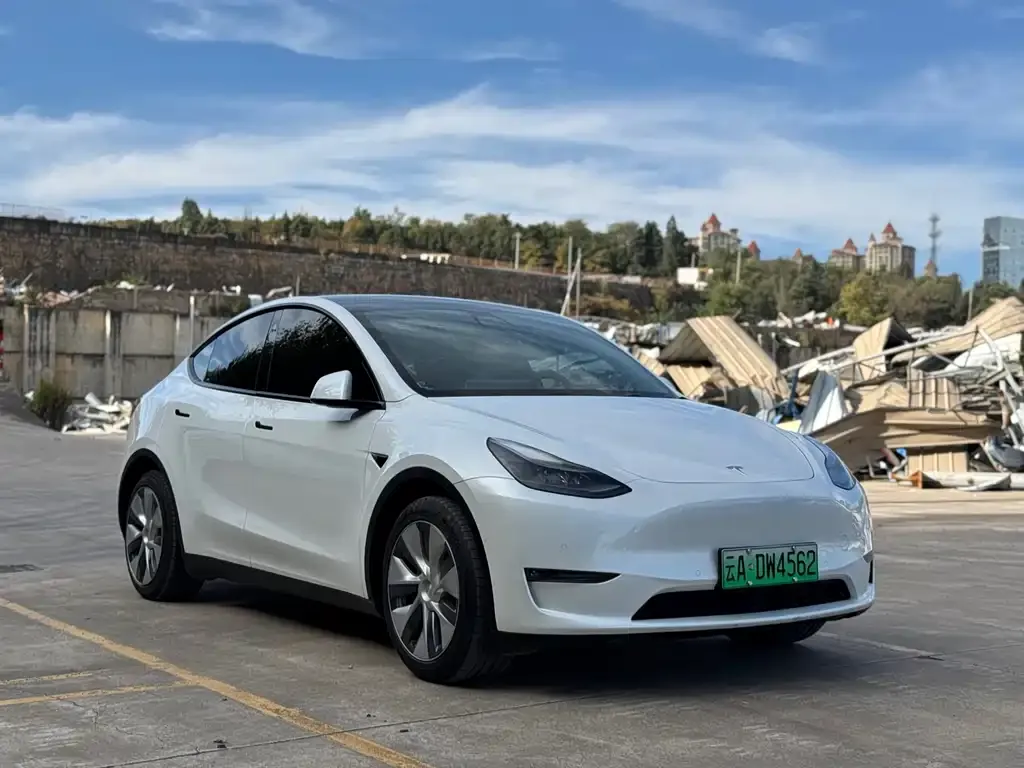 Tesla Model Y 2022 из CN, фото 3