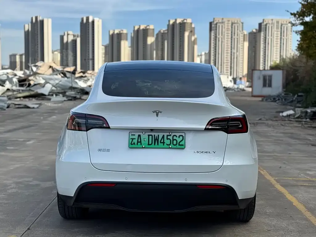 Tesla Model Y 2022 из CN, фото 8