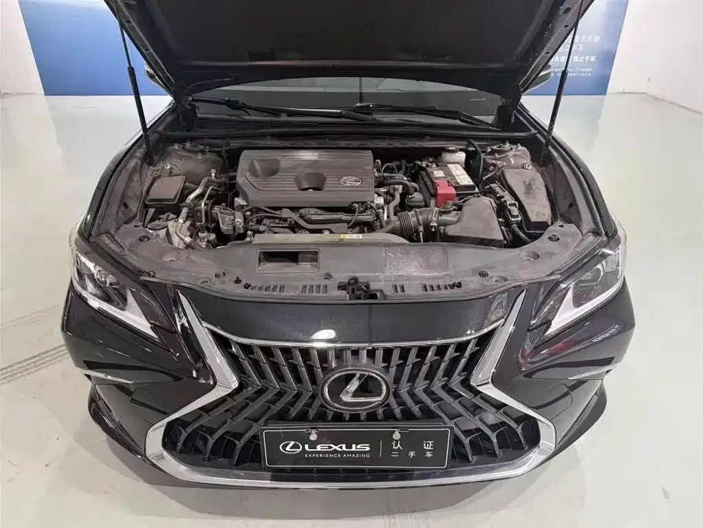 Lexus ES 2024 из CN, фото 10