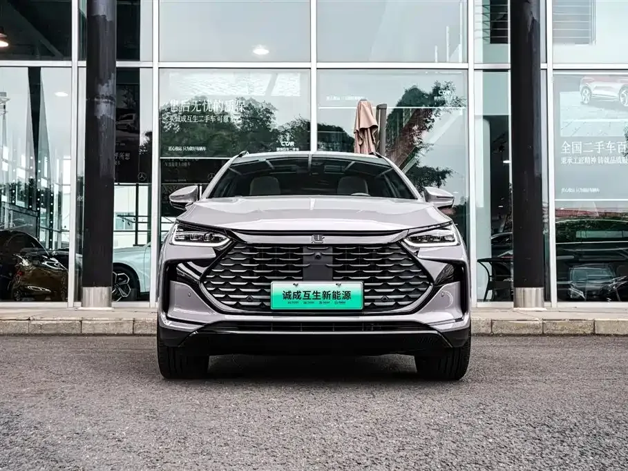 BYD Tang New Energy 2025 из CN, фото 2
