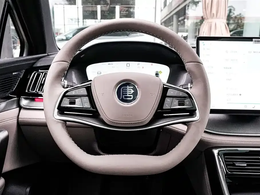 BYD Tang New Energy 2025 из CN, фото 9