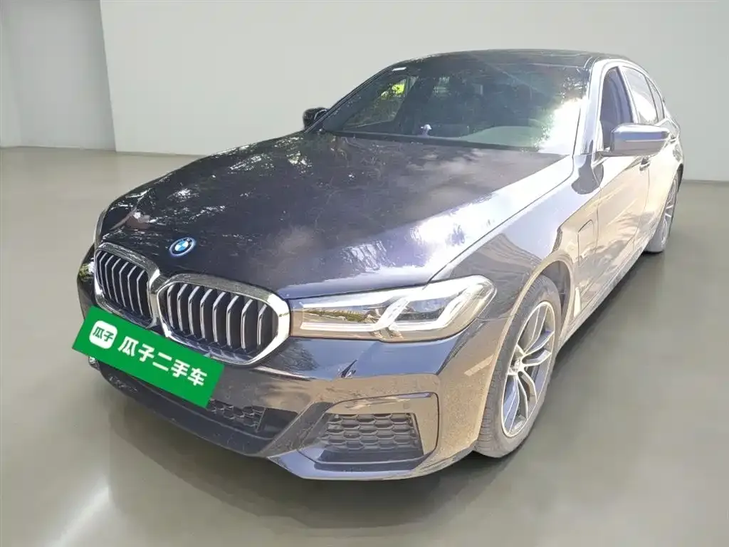 BMW 5 Series New Energy 2023 из CN, фото 2