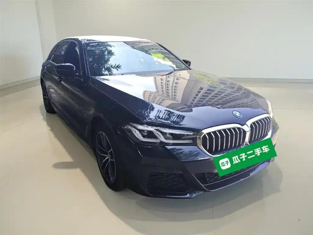 BMW 5 Series New Energy 2023 из CN, фото 4