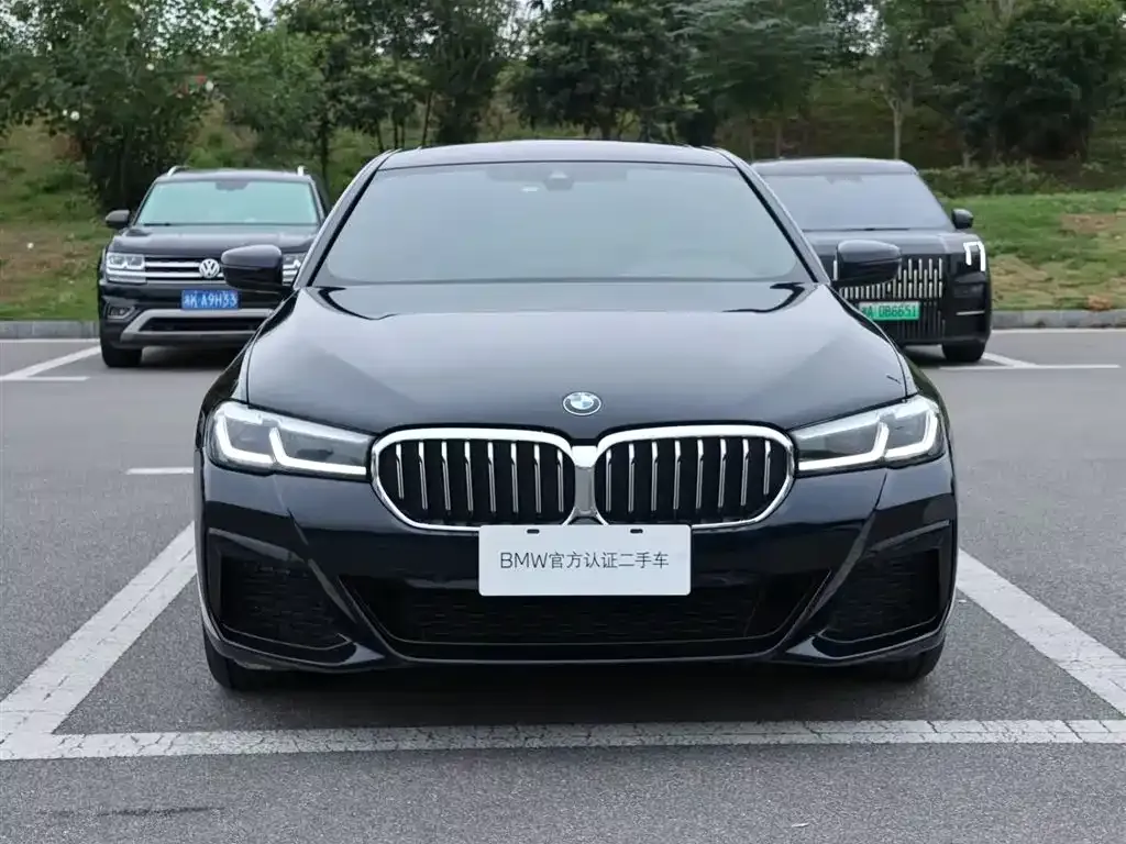 BMW 5 Series 2024 из CN, фото 3
