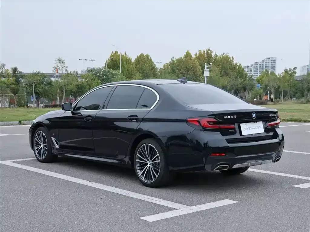 BMW 5 Series 2024 из CN, фото 7