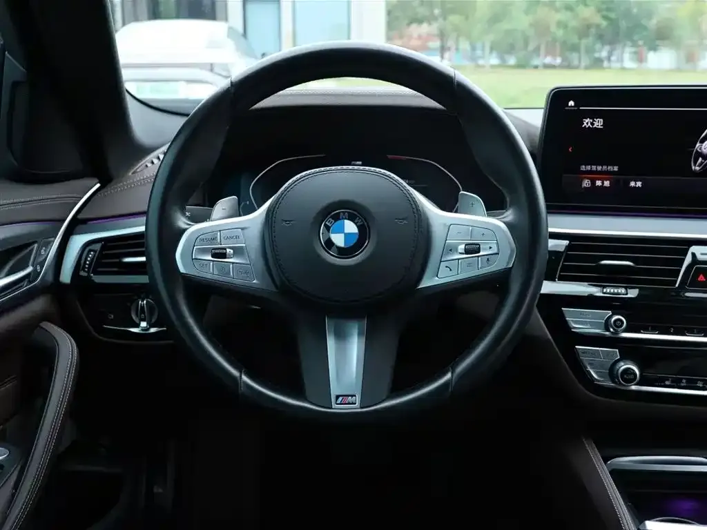 BMW 5 Series 2024 из CN, фото 8
