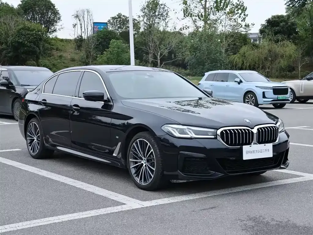 BMW 5 Series 2024 из CN, фото 9
