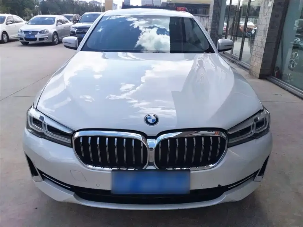 BMW 5 Series 2022 из CN, фото 3