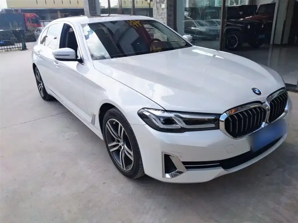 BMW 5 Series 2022 из CN, фото 4