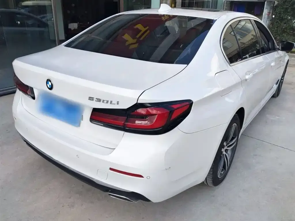 BMW 5 Series 2022 из CN, фото 7