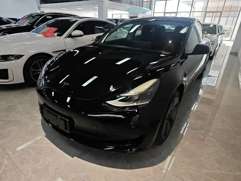 Tesla Model 3 2021 из CN, фото 1