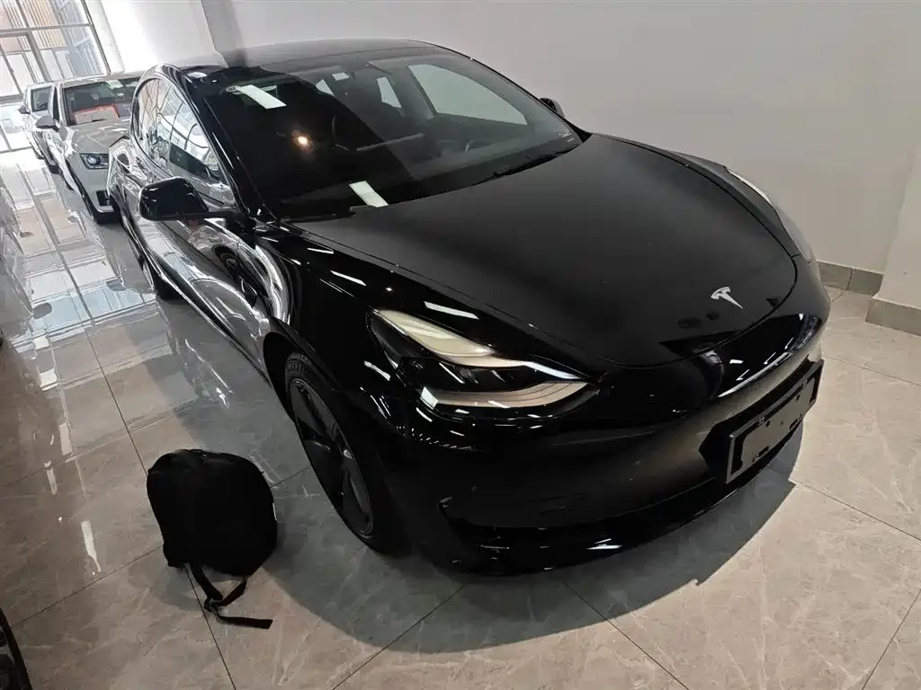 Tesla Model 3 2021 из CN, фото 4