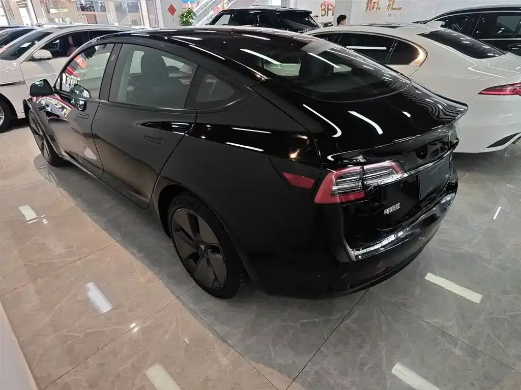 Tesla Model 3 2021 из CN, фото 5