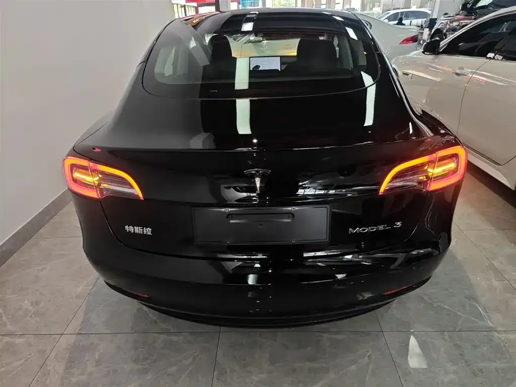 Tesla Model 3 2021 из CN, фото 6