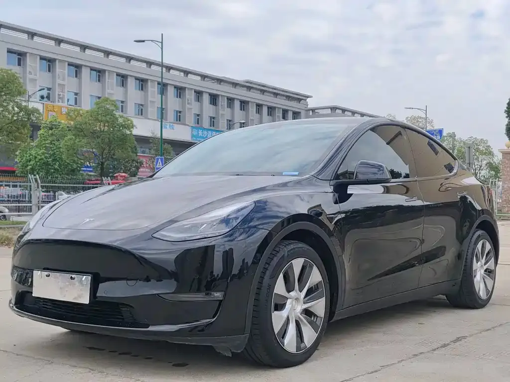 Tesla Model Y — фото 1