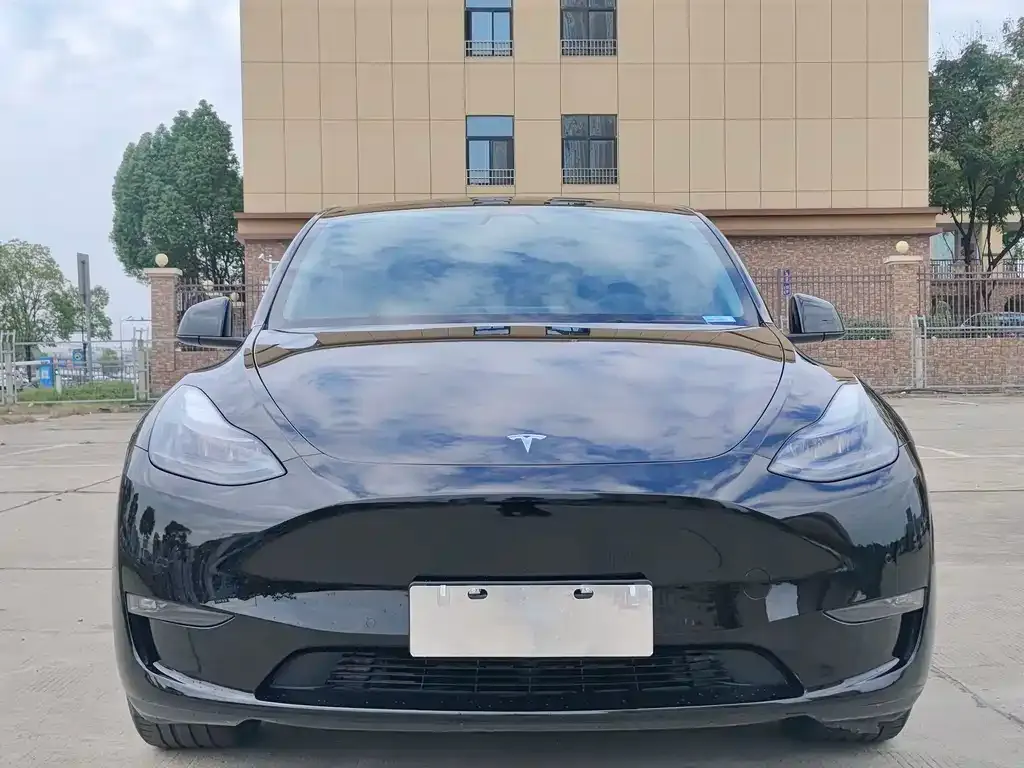 Tesla Model Y — фото 2