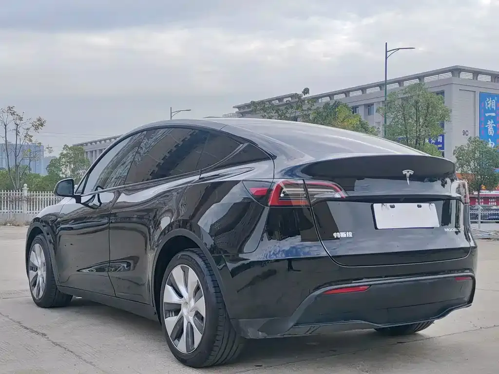 Tesla Model Y — фото 4