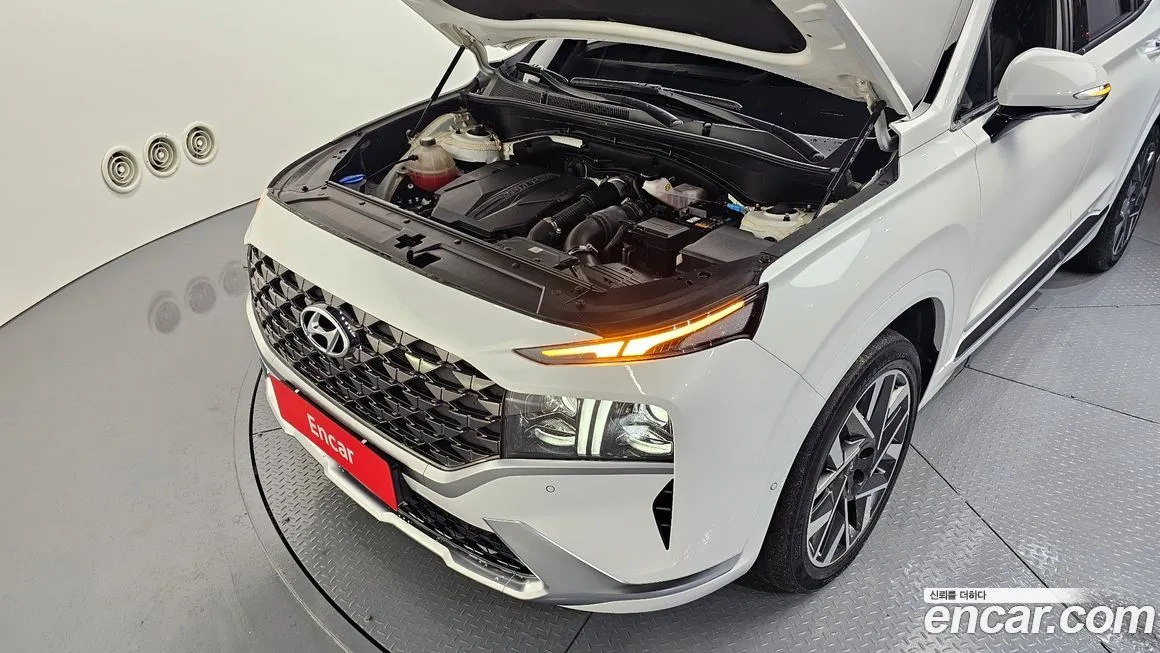 Hyundai Santafe 2021 из KR, фото 6