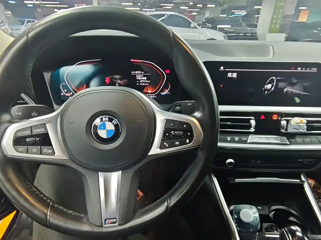 BMW 3 Series 2022 из CN, фото 5