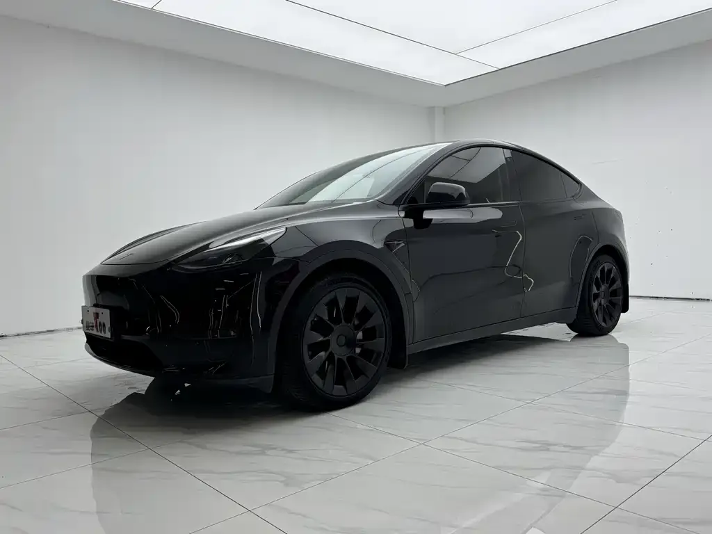 Tesla Model Y — фото 1