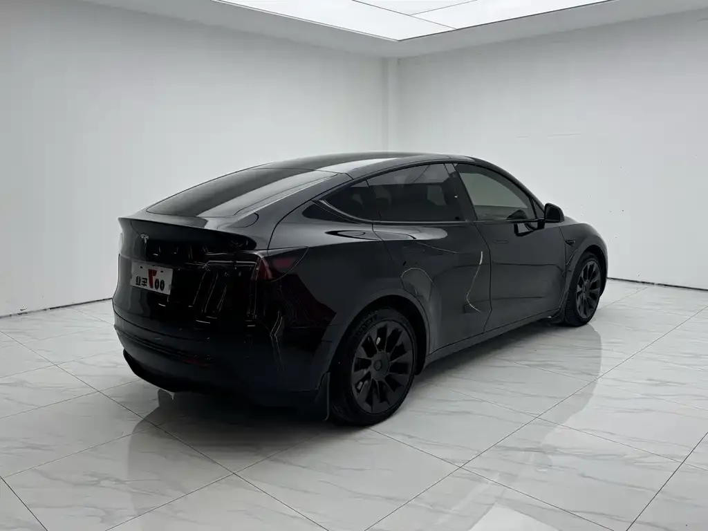 Tesla Model Y — фото 8