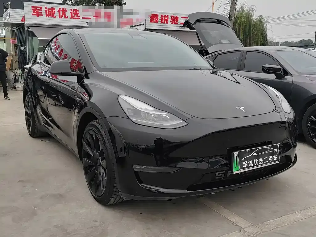 Tesla Model Y — фото 2