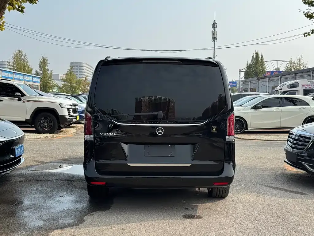Mercedes-Benz V-Class 2025 из CN, фото 3