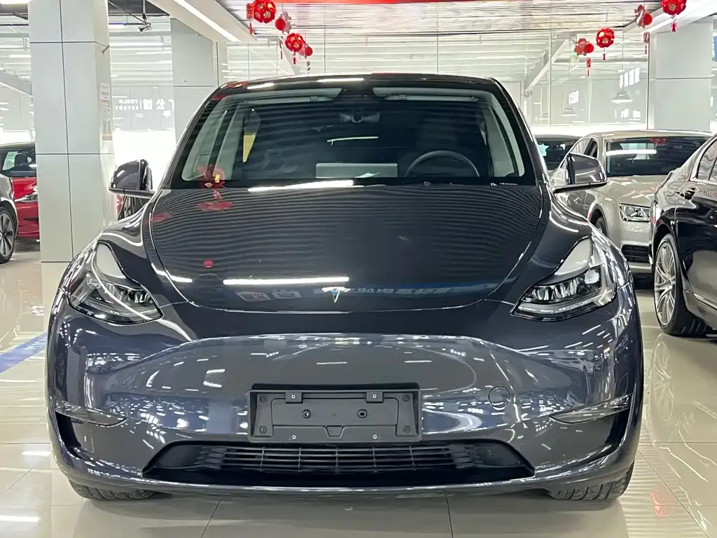 Tesla Model Y — фото 2