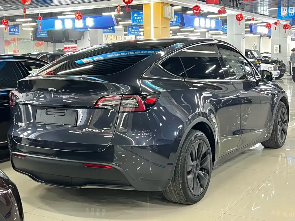Tesla Model Y — фото 8