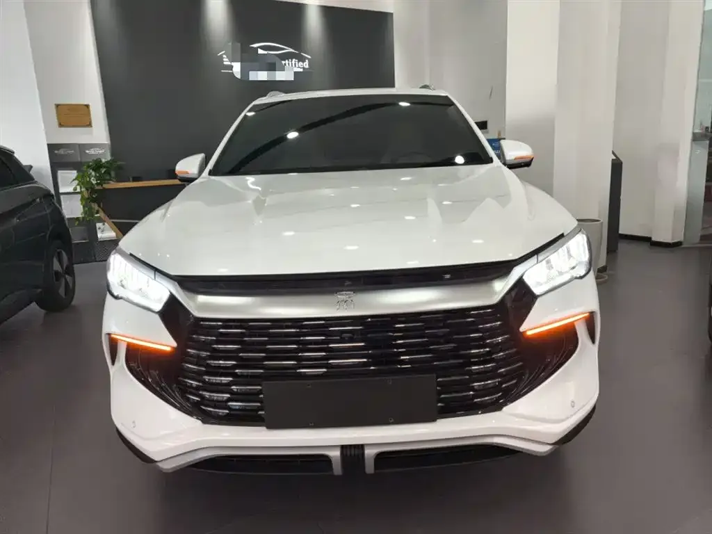 BYD Pro New Energy 2025 из CN, фото 3