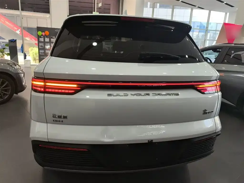 BYD Pro New Energy 2025 из CN, фото 6