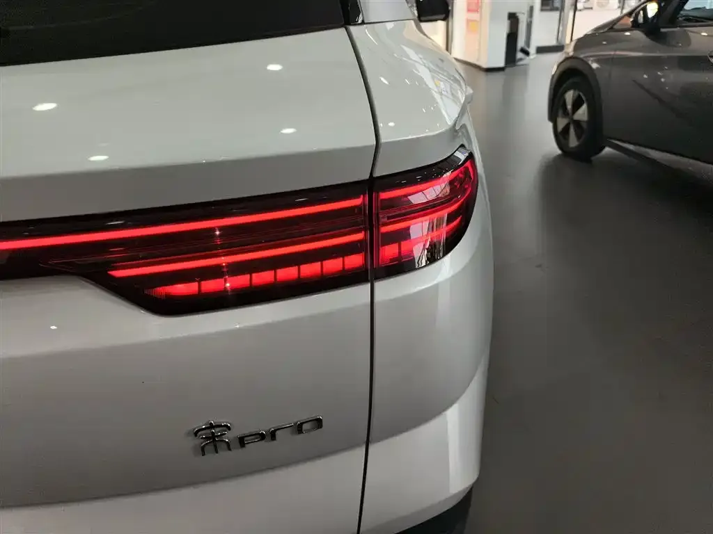 BYD Pro New Energy 2025 из CN, фото 8