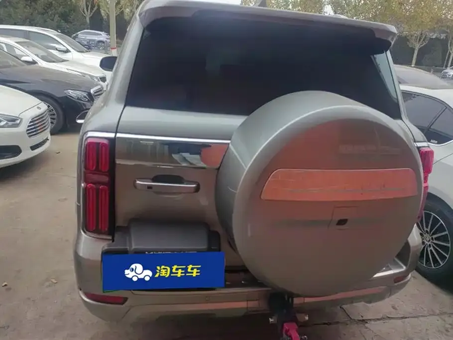 Tank 500 New Energy 2023 из CN, фото 4