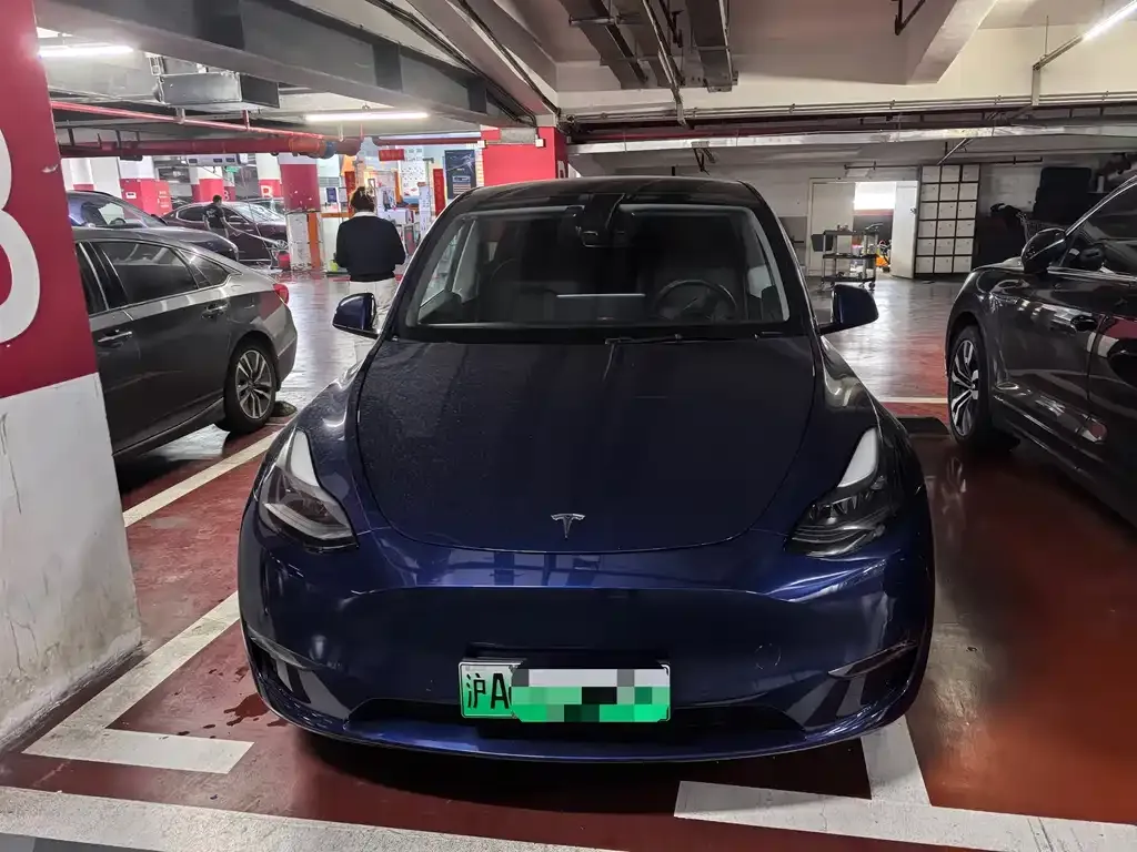 Tesla Model Y 2021 из CN, фото 1