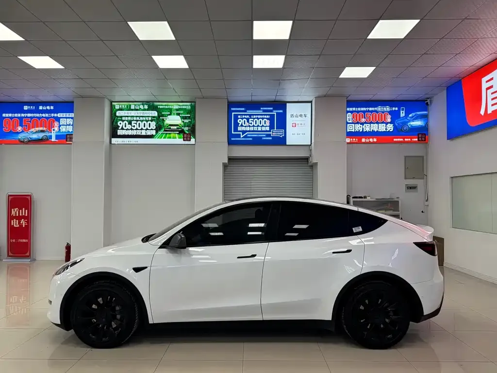 Tesla Model Y — фото 3