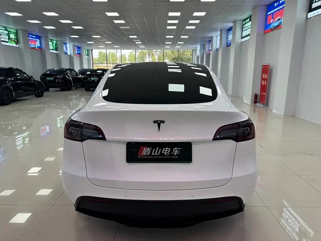 Tesla Model Y — фото 5