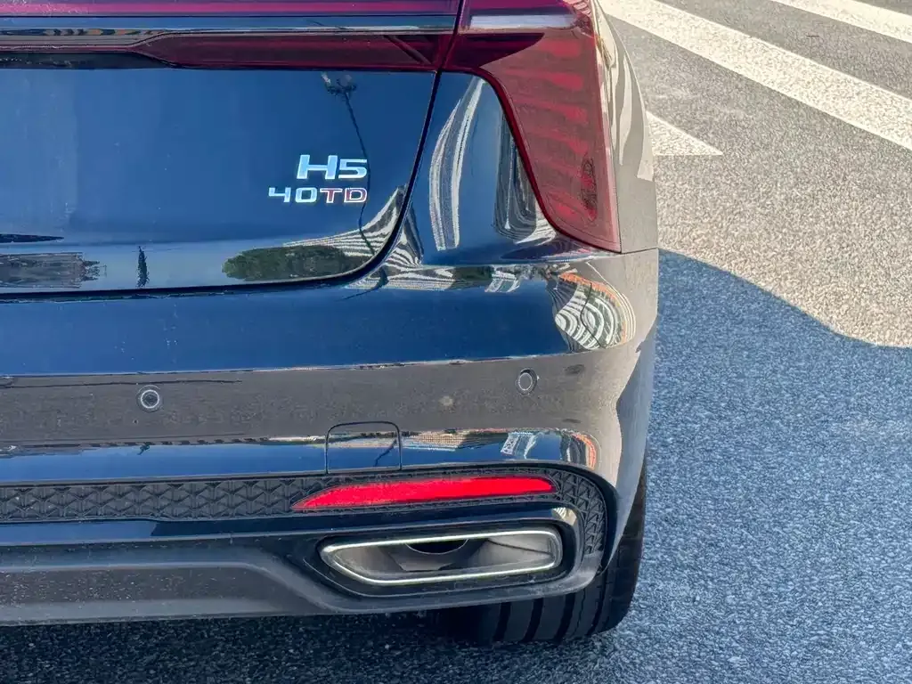 Hongqi H5 2024 из CN, фото 9