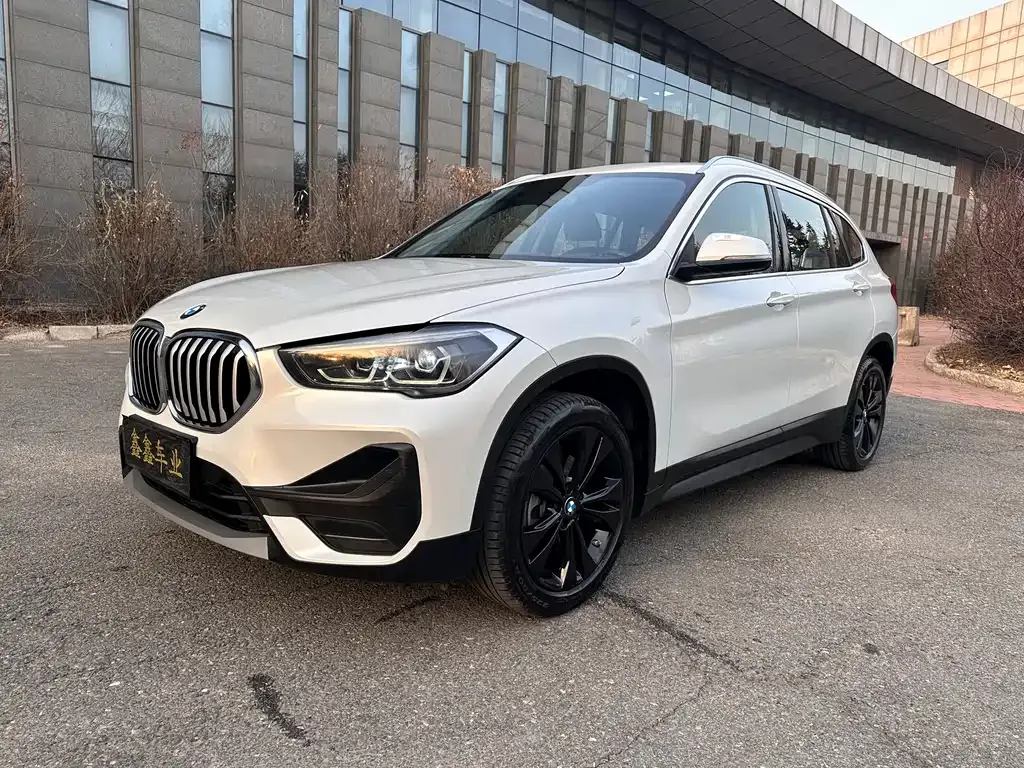 BMW X1 — фото 1