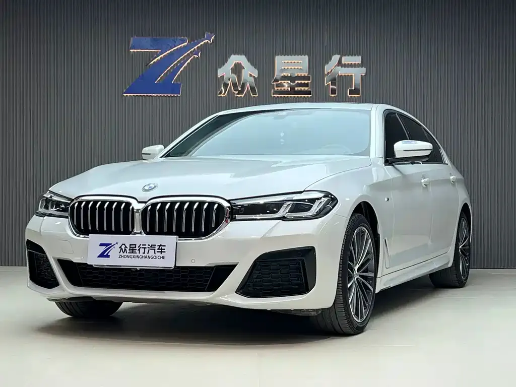 BMW 5 Series 2021 из CN, фото 1