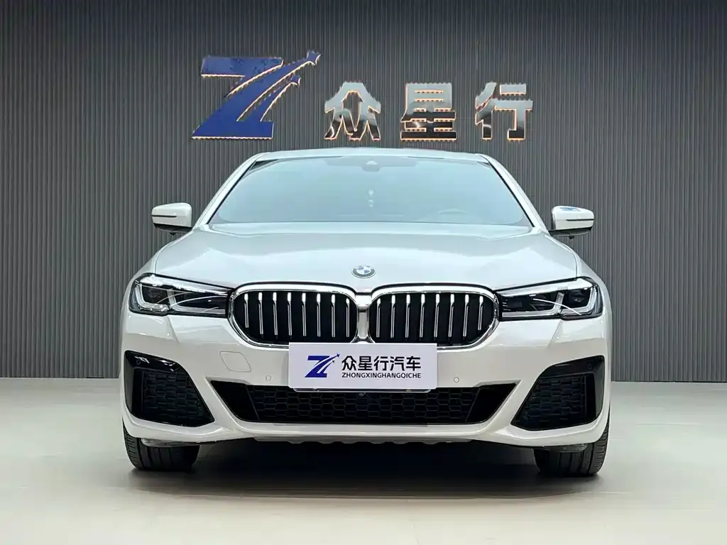 BMW 5 Series 2021 из CN, фото 2