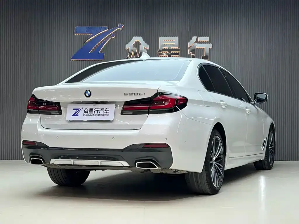 BMW 5 Series 2021 из CN, фото 3