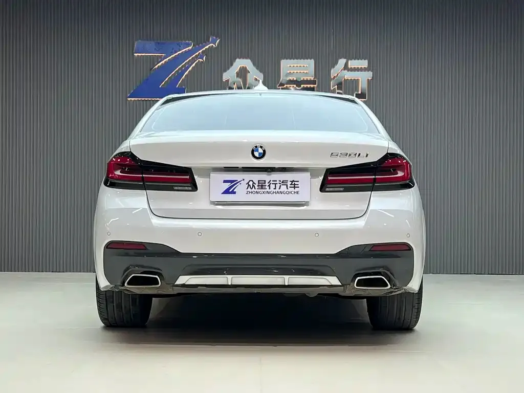 BMW 5 Series 2021 из CN, фото 4