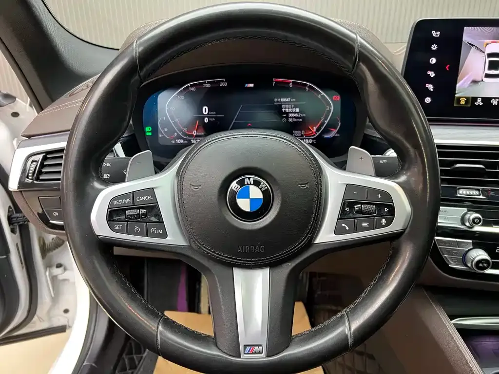 BMW 5 Series 2021 из CN, фото 6