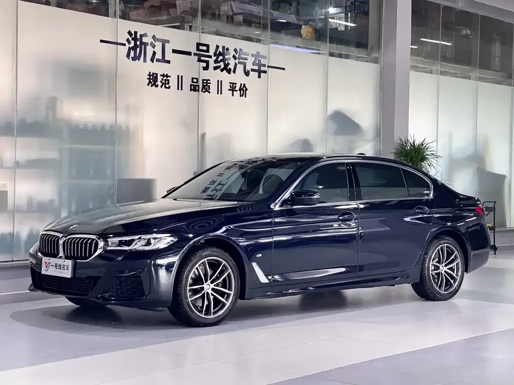 BMW 5 Series 2023 из CN, фото 2