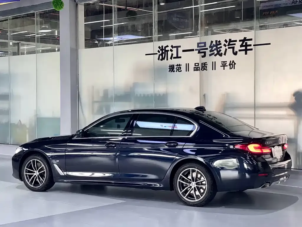 BMW 5 Series 2023 из CN, фото 3